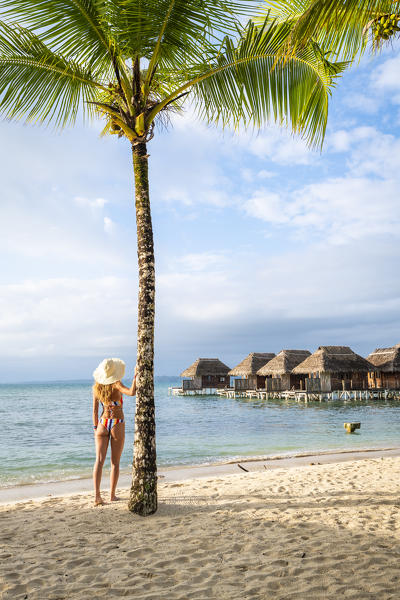 Azul Paradise resort, Bastimentos island, Bocas del Toro province, Panama, Central America (MR) (PR)