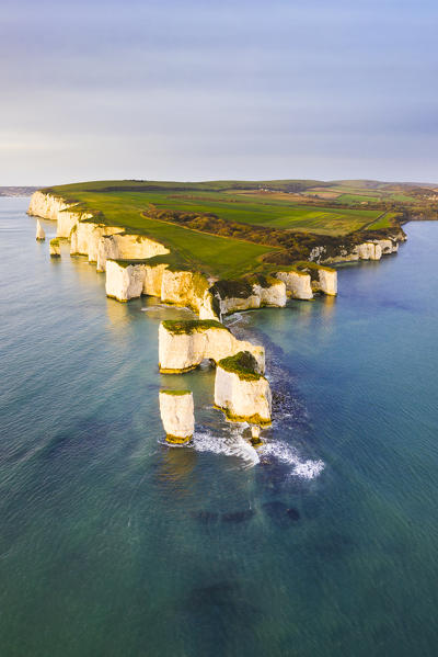 Aerial view of Old Harry Rocks, Handfast Point, Isle of Purbeck, Jurassic Coast, Dorset, England, UK