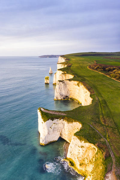 Aerial view of Old Harry Rocks, Handfast Point, Isle of Purbeck, Jurassic Coast, Dorset, England, UK