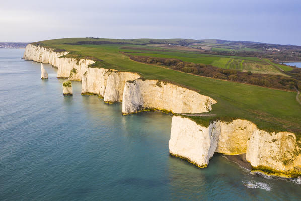 Aerial view of Old Harry Rocks, Handfast Point, Isle of Purbeck, Jurassic Coast, Dorset, England, UK