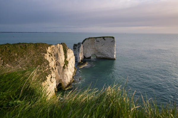 Old Harry Rocks, Handfast Point, Isle of Purbeck, Jurassic Coast, Dorset, England, UK