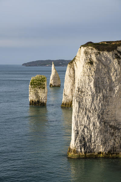 The Pinnacles, Old Harry Rocks, Handfast Point, Isle of Purbeck, Jurassic Coast, Dorset, England, UK