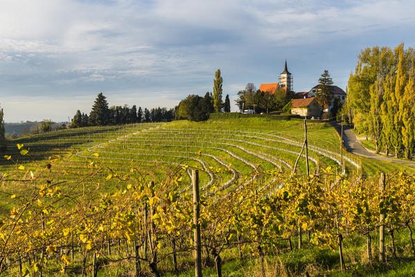 Jeruzalem village and its vineyards. Jeruzalem, Ljutomer, Mura region, Slovenia  