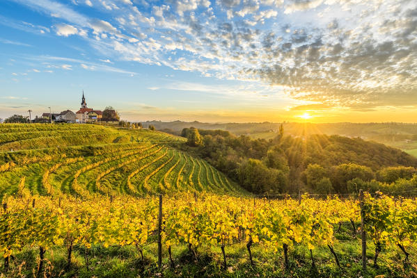 The village of Svetinje and its vineyards at sunset. Svetinje, Ormoz, Drava region, Slovenia