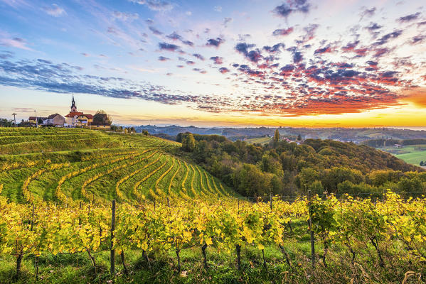 The village of Svetinje and its vineyards at sunset. Svetinje, Ormoz, Drava region, Slovenia