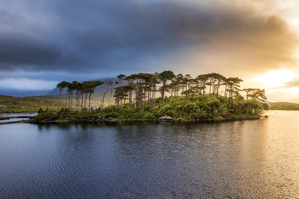 Connemara, County Galway, Connacht province, Ireland, Europe. Lough Inagh lake with Pines Island.