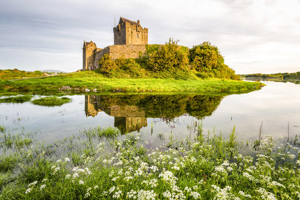 Dunguaire Castle, County Galway, Connacht province, Ireland, Europe.