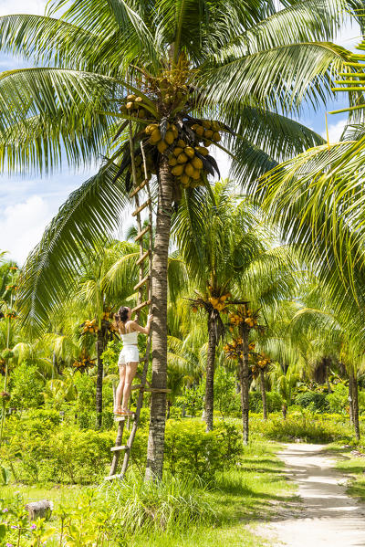 Woman exploring the Union Estate Plantation on La Digue island. La Digue, Seychelles, Africa