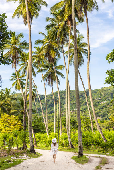 The Union Estate Plantation on La Digue island. La Digue, Seychelles, Africa (MR)