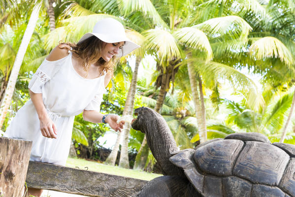 Tourist and Giant Tourtoise, Praslin island, Seychelles, Africa (MR)