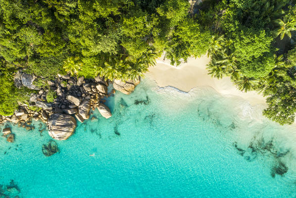 Aerial view of Anse Lazio beach. Praslin island, Seychelles, Africa