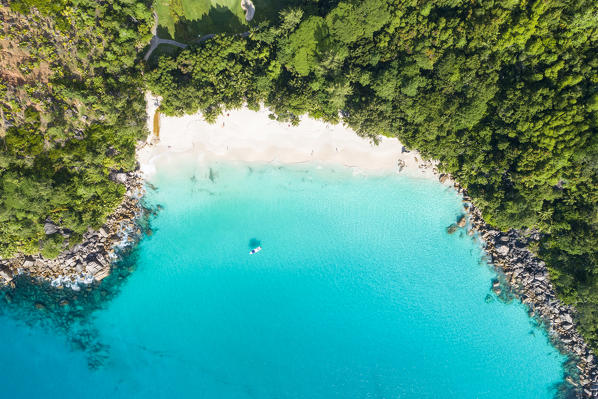 Aerial view of Anse Georgette, Praslin island, Seychelles, Africa