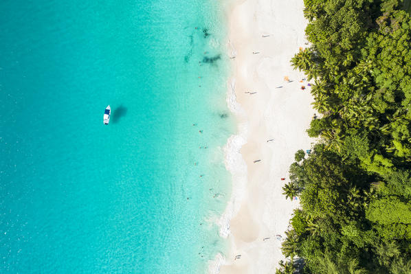 Aerial view of Anse Georgette, Praslin island, Seychelles, Africa