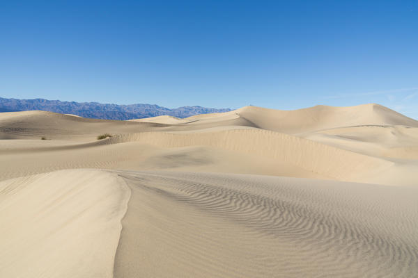 Mesquite Flat Sand Dunes at Death Valley National Park, Inyo County, California, North America, USA