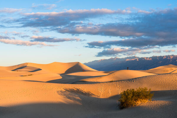 Sunrise at Mesquite Flat Sand Dunes, Death Valley National Park, Inyo County, California, North America, USA