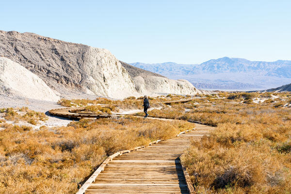 Salt Creek trail, Death Valley, Inyo County, California, North America, USA
