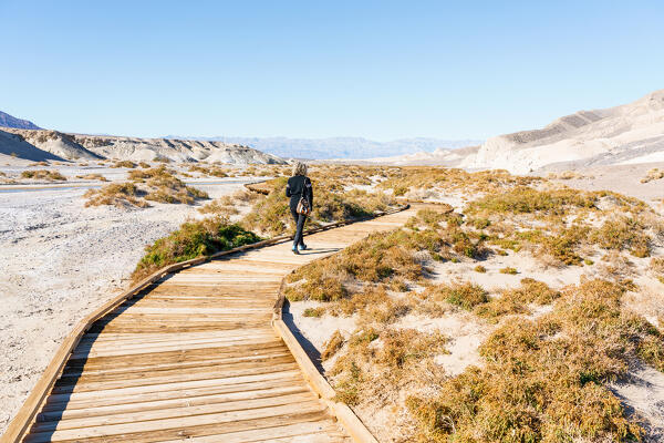 Salt Creek trail, Death Valley, Inyo County, California, North America, USA