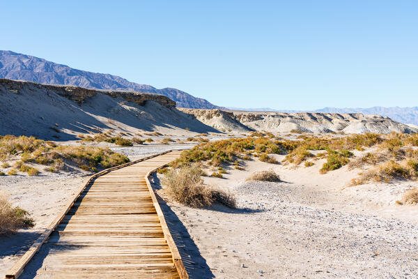 Salt Creek trail, Death Valley, Inyo County, California, North America, USA