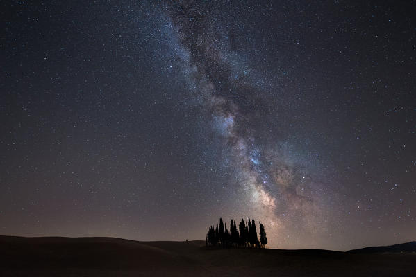 Starry sky over cypresses in Orcia Valley. Siena district, Tuscany, Italy.
