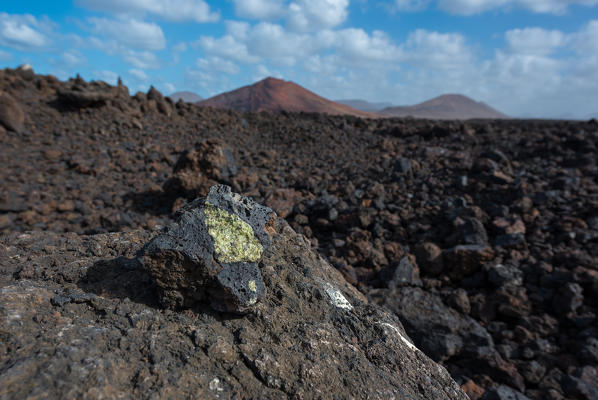 Olivin stone in Timanfaya National Park, Lanzarote, Canary island, Spain, Europe