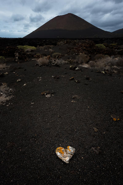 A stone on the black volcanic sand, Timanfaya National Park, Lanzarote, Canary island, Spain, Europe