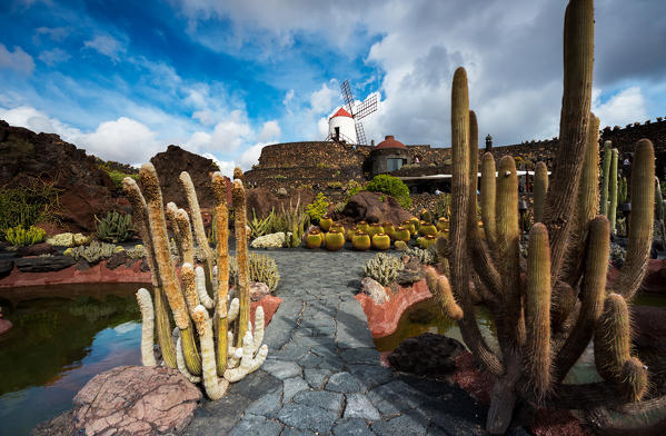 Jardín de Cactus, designed by Cesar Manrique, Lanzarote, Canary island, Spain, Europe