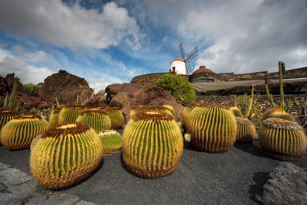 Jardín de Cactus, designed by Cesar Manrique, Lanzarote, Canary island, Spain, Europe