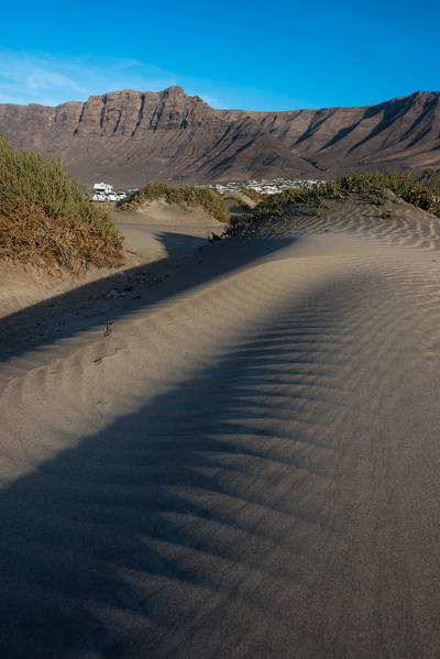 Dunes at Famara, Lanzarote, Canary island, Spain, Europe