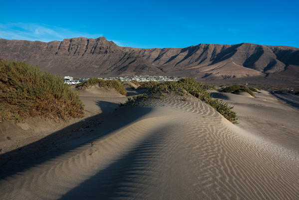 Dunes at Famara, Lanzarote, Canary island, Spain, Europe