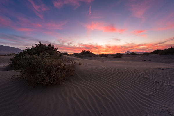 Dunes in Famara at sunset, Lanzarote, Canary island, Spain, Europe
