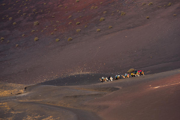 Camels with tourists in Timanfaya National Park, Lanzarote, Canary island, Spain, Europe