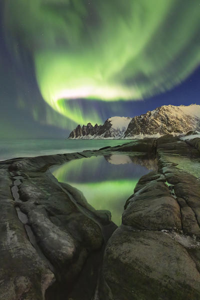 a magical Northen Lights over the Devil's teeth Mountain, reflections in a puddle along the Ersfjorden, Senja, Northern Norway, Europe.