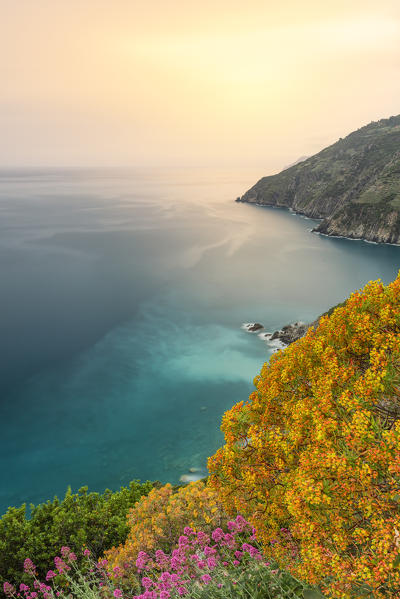 the spring colors of the Cinque Terre coast, taken at sunset from a steep path, National Park of Cinque Terre, municipality of Riomaggiore, La Spezia province, Liguria district, Italy, Europe