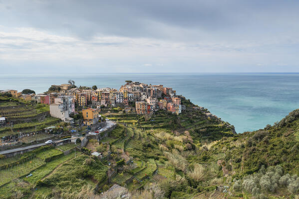 aerial view taken by drone in spring time, of historical village of Corniglia, municipality of Vernazza, UNESCO World Heritage Site, National Park of Cinque Terre, La Spezia province, Liguria district, Italy, Europe