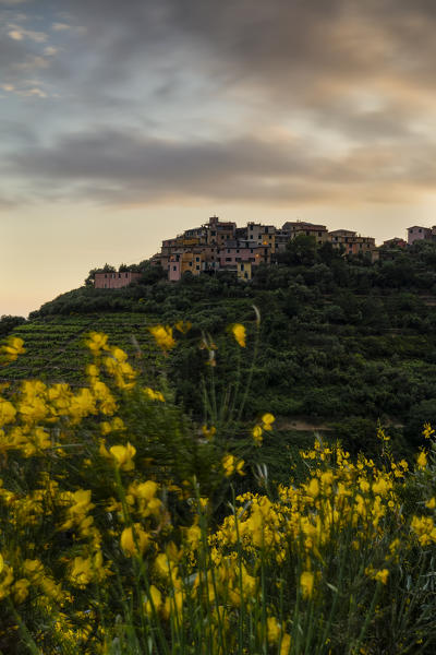 Spring sunset at Volastra, Cinque Terre, municipality of Riomaggiore, La Spezia province, Liguria, Italy, Europe