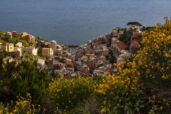 Spring day at Riomaggiore, Cinque Terre, municipality of Riomaggiore, La Spezia province, Liguria, Italy, Europe