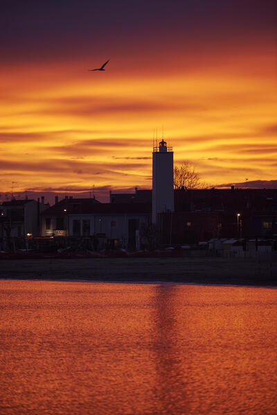 Fano coast at sunrise, Pesaro Urbino, Le Marche, Italy                                 