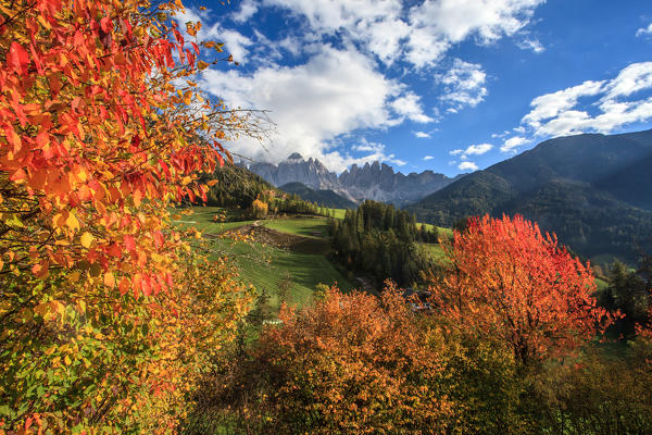 Funes valley, natural park Puez Odle in the background Odle group, Trentino Alto Adige, Dolomites, Italy