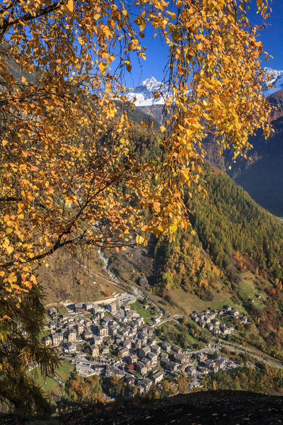 Autumn in Malenco valley, in the background the Scalino peak, lombardy, Italy, europe