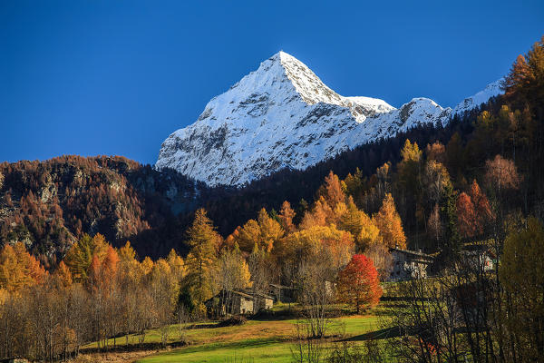 Valtellina, Scalino peak in autumn, Malenco valley, Lombardy, Italy