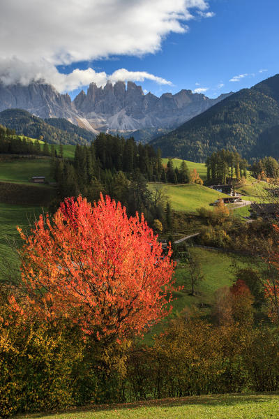 Autumn colors a Santa Magdalena in Funes valley, Trentino Alto Adige, Italy