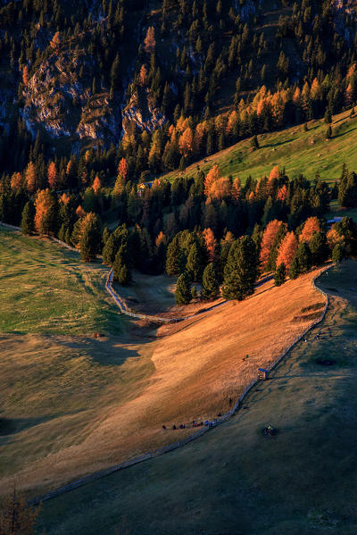 The last light at malga Gampen in autumn, Funes valley, Trentino Alto Adige, Italy