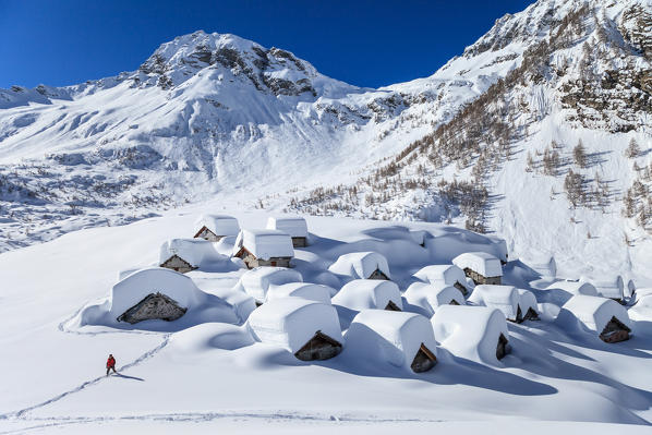 Drogo valley, trekker at Lendine alp in winter, in the background Pizzaccio mountain, Chiavenna valley, Lombardy, Italy