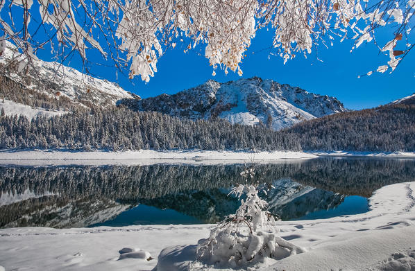 Malenco valley, Palù lake, Lombardy, Italy