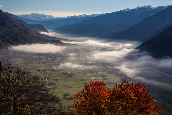 Fog in Valtellina, in the background Adamello mountain, Lombardy, Italy