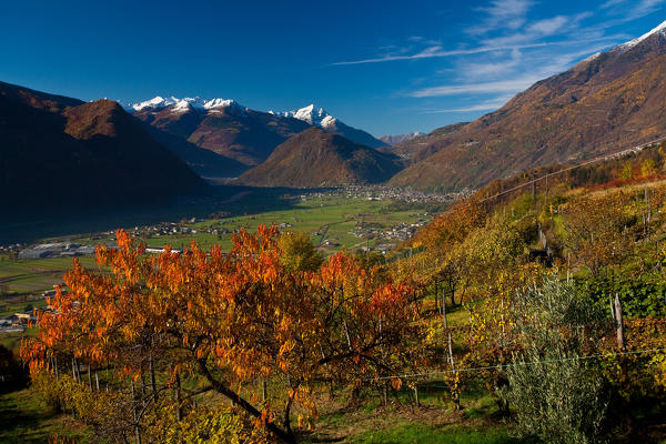 Valtellina, in the background the Orobie alps, Lombardy, Italy
