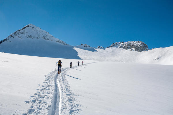 Adamello group, ski mountaineering at Pisgana glacier, Lombardy, Italy