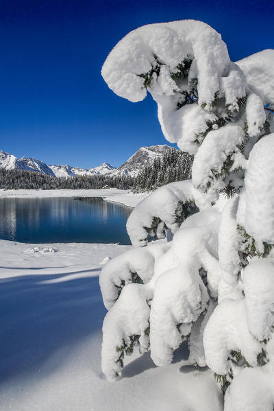 Heavy snow on the landscape of an alpine lake. Malenco valley, Valtellina, Lombardy, Italy