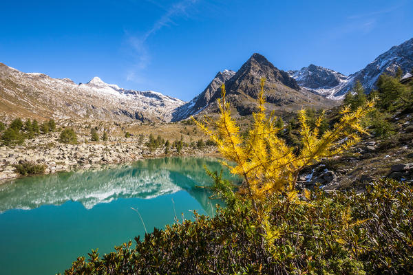Retiche alps, Painale lake in autumn, in the background Scalino peak, Lombardy, italy