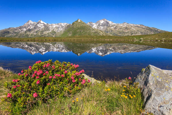 Lepontine alps reflect at Andossi lake, Spluga valley, Lombardy, Italy